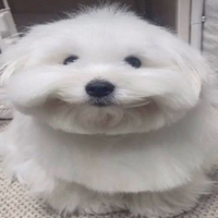 Itaki