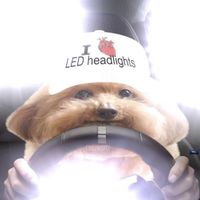 pepperwastaken