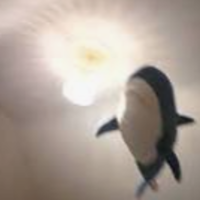BlahajShark