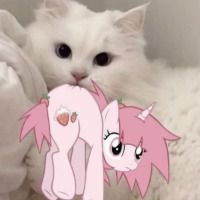 pinkkitty