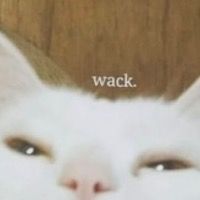 DuckyMooMoo