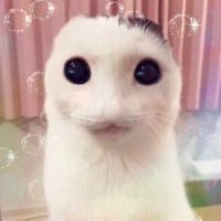 Violet_Verliebt
