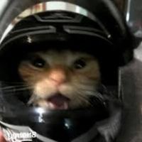 bikelife