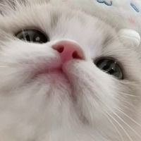 vqlor