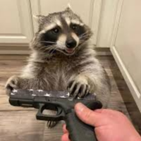 RacconOW