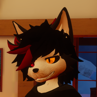 Romeo_Husky05