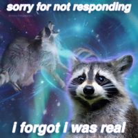 Mewsun