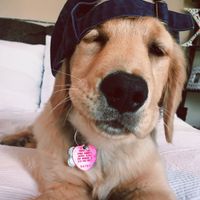 LittleRatGirl