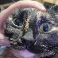 slinkyslunky