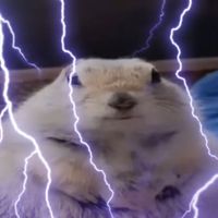 D0oDLE