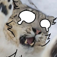 angololical