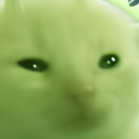 MalinChien