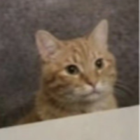 Redtsune