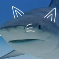 Jaws