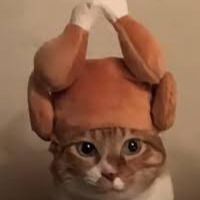 Milksauce