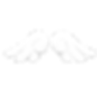 Novastar