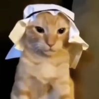 reskyuu