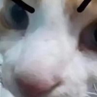 peachesncream
