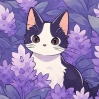 sweetsillykitty