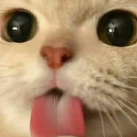 strawm.lk