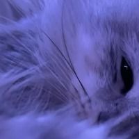 r z