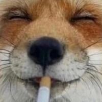 rumplepillpen