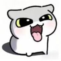 ZYH
