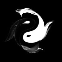 tsugikuni