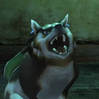 k9ob