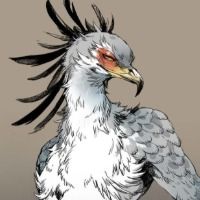 xXyoungbirdXx