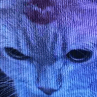 mreggsalt