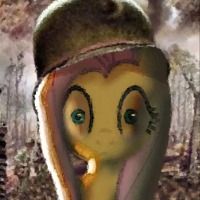 drakkie
