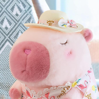 PinkCapybara