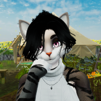 TheCatHoodie