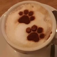 coffiedbeans