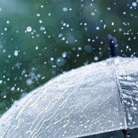 Blue_Rain