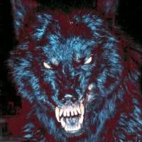 WerewolfGf