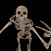 ravenbeans