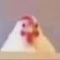 Adambiero25