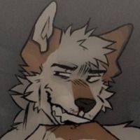 VNull