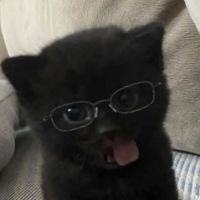 mimimimimimi
