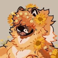 SunflowerPup