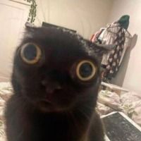 hiddenlemi