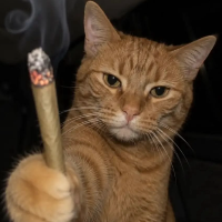 Juju-JJ