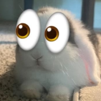 moonlittears