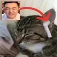 m0rb1dM