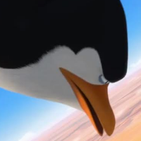 ams_finally_in