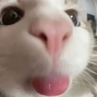 GoobNugget