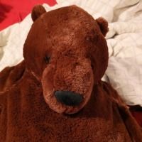 Bernardobear