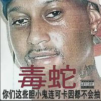 ichigouser33